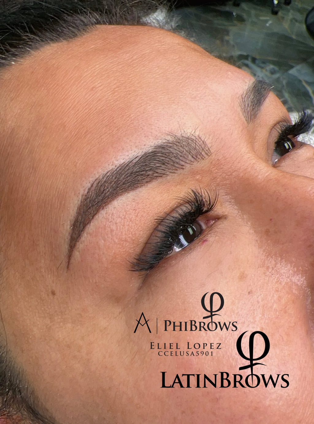 Latin Brows