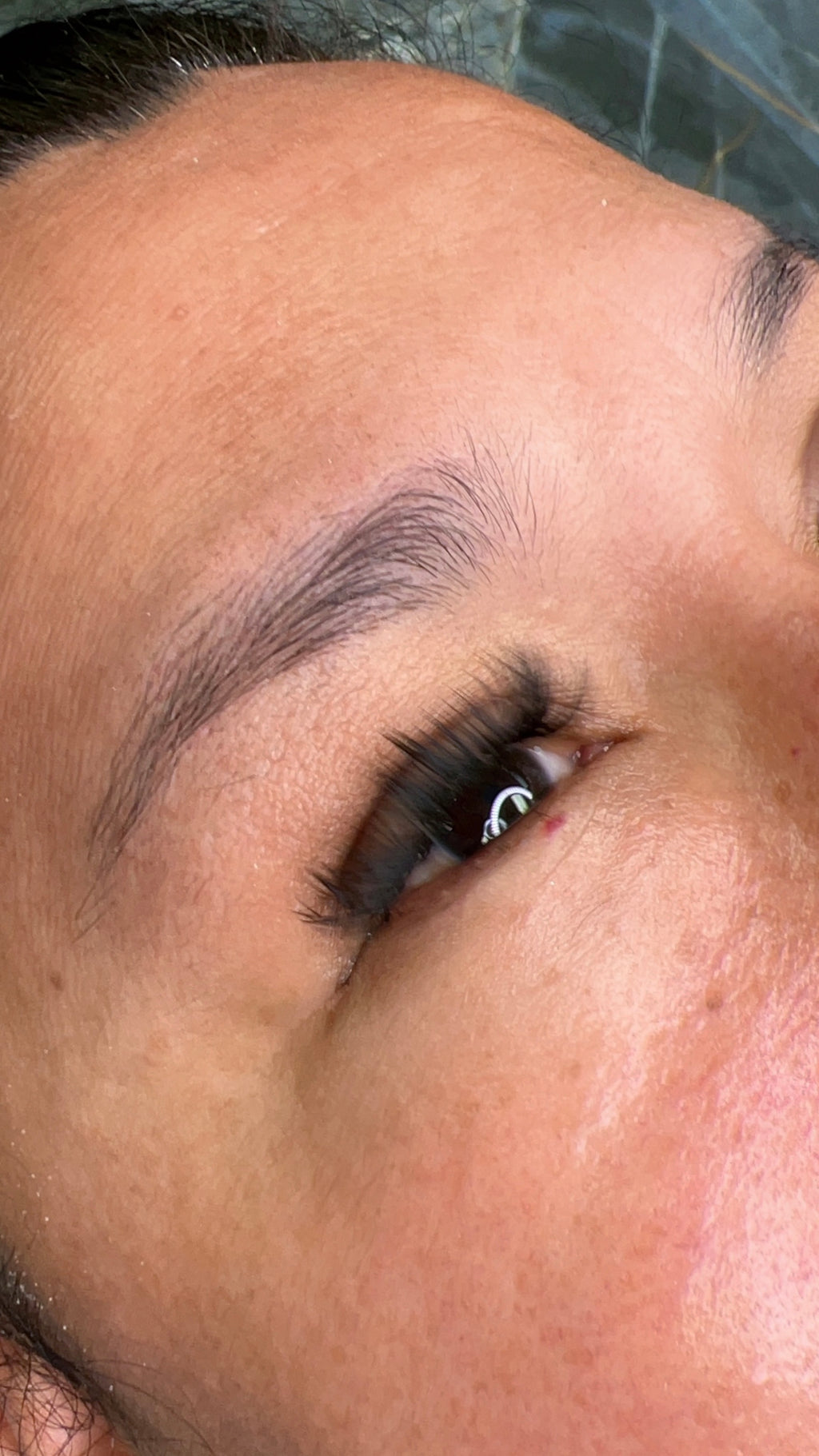 Latin Brows